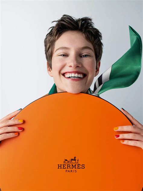 Hermes campaign